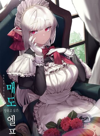 Elf-Who-Likes-To-Be-Humiliated-2